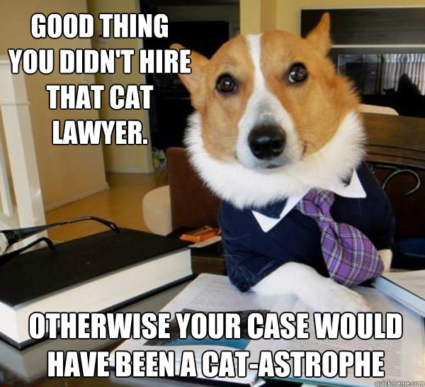 Good thing you didn't hire that cat lawyer. otherwise your case would have been a cat-astrophe  Lawyer Dog