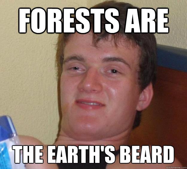 Forests are The earth's beard  10 Guy