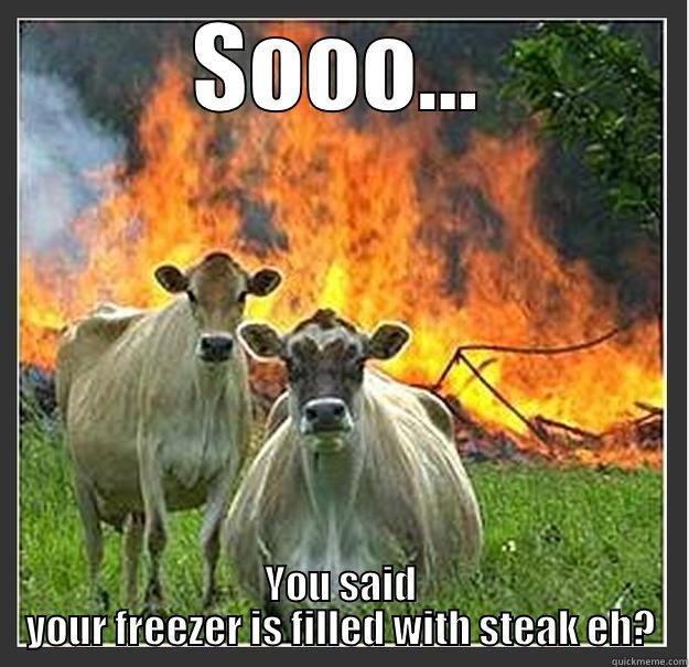 steak and shake - SOOO... YOU SAID YOUR FREEZER IS FILLED WITH STEAK EH? Evil cows