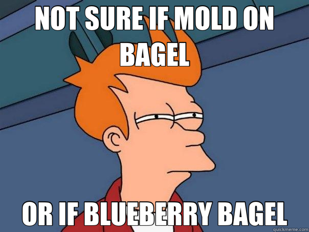 NOT SURE IF MOLD ON BAGEL OR IF BLUEBERRY BAGEL  Futurama Fry