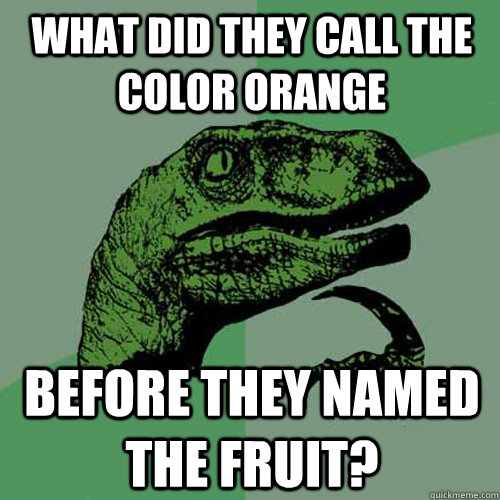 What did they call the color orange before they named the fruit?  Philosoraptor