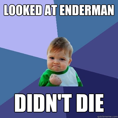 Looked at Enderman Didn't Die  Success Kid