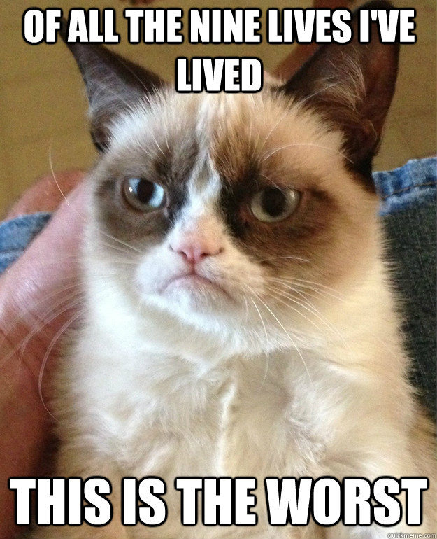 of all the nine lives i've lived this is the worst  Grumpy Cat