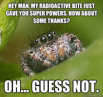 Hey man, my radioactive bite just gave you super powers. How about some thanks? Oh... Guess not.  - Hey man, my radioactive bite just gave you super powers. How about some thanks? Oh... Guess not.   Misunderstood Spider