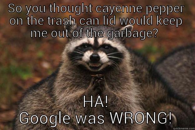 SO YOU THOUGHT CAYENNE PEPPER ON THE TRASH CAN LID WOULD KEEP ME OUT OF THE GARBAGE?  HA!  GOOGLE WAS WRONG!  Evil Plotting Raccoon