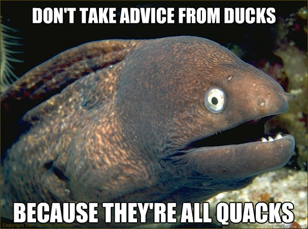 Don't take advice from ducks because they're all quacks  Bad Joke Eel