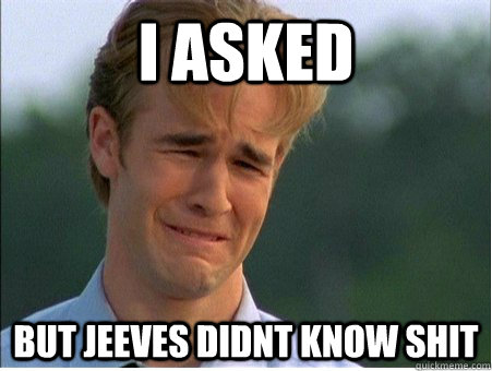 i asked but jeeves didnt know shit  1990s Problems