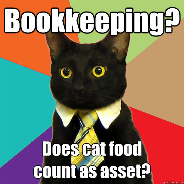 Bookkeeping? Does cat food 
count as asset?  Business Cat