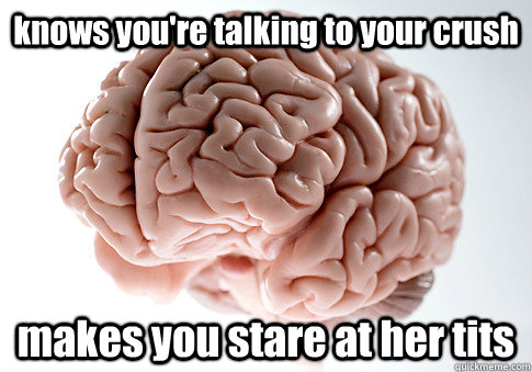 knows you're talking to your crush makes you stare at her tits   Scumbag Brain