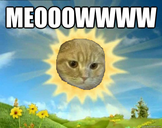 MEOOOWWWW - MEOOOWWWW  Sun Cat