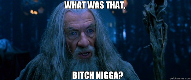 What was that, Bitch Nigga?  Gandalf