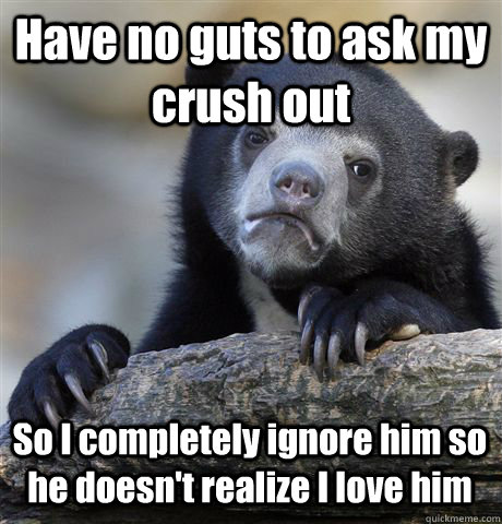 Have no guts to ask my crush out So I completely ignore him so he doesn't realize I love him  Confession Bear