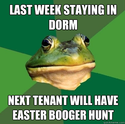 Last week staying in dorm Next tenant will have easter booger hunt - Last week staying in dorm Next tenant will have easter booger hunt  Foul Bachelor Frog