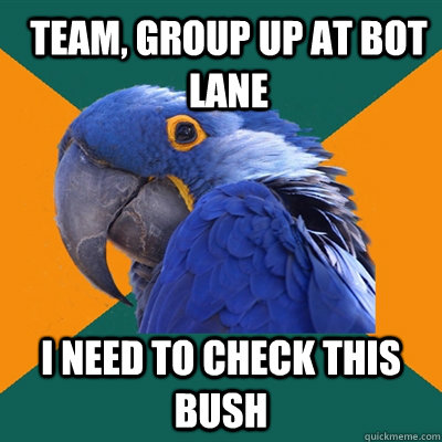 team, group up at bot lane i need to check this bush  Paranoid Parrot