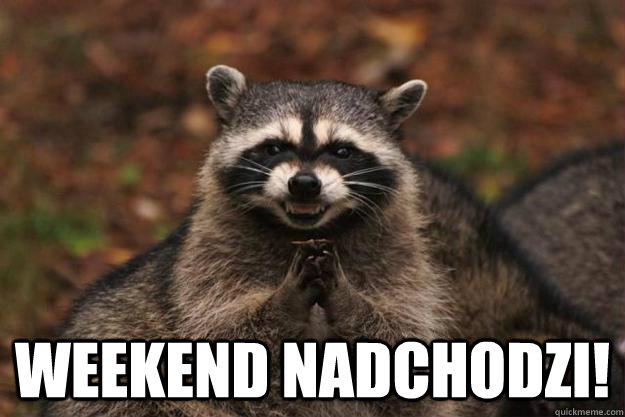  Weekend nadchodzi!   Evil Plotting Raccoon