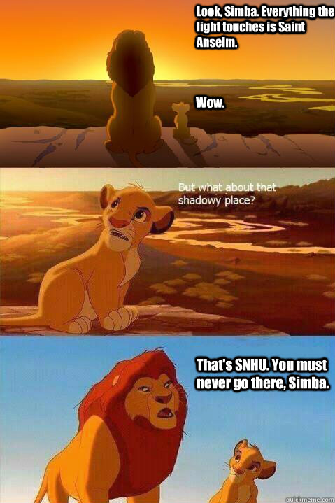 Look, Simba. Everything the light touches is Saint Anselm. Wow. That's SNHU. You must never go there, Simba.   Lion King Shadowy Place