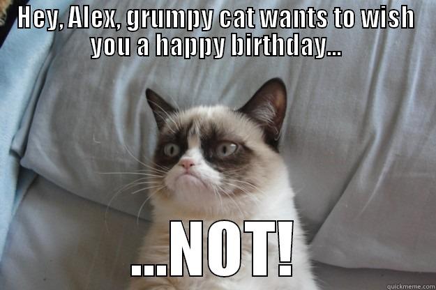 HEY, ALEX, GRUMPY CAT WANTS TO WISH YOU A HAPPY BIRTHDAY... ...NOT! Grumpy Cat