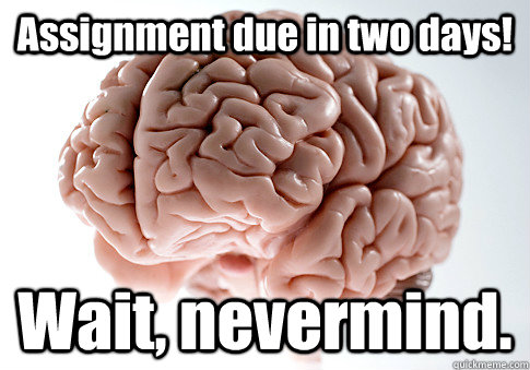 Assignment due in two days! Wait, nevermind.   Scumbag Brain