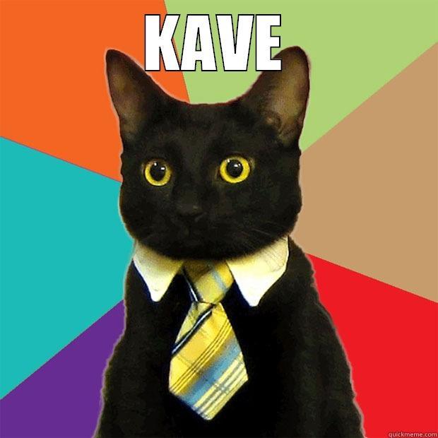 KAVE  Business Cat