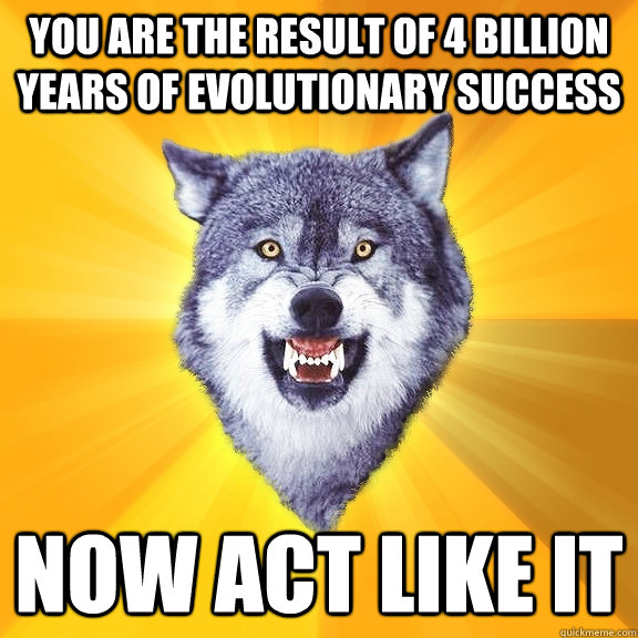 you are the result of 4 billion years of evolutionary success NOW act like it  Courage Wolf