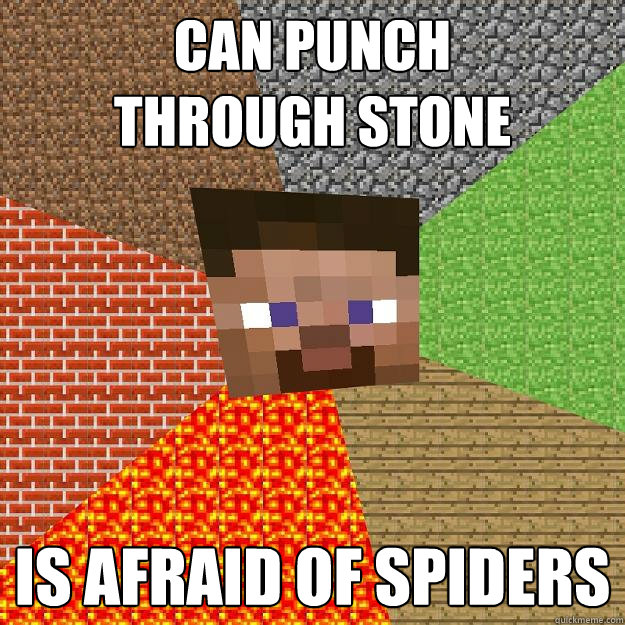 CAN PUNCH 
THROUGH STONE IS AFRAID OF SPIDERS  Minecraft