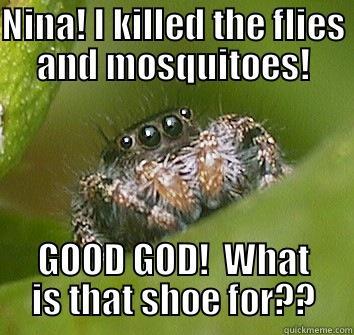 NINA! I KILLED THE FLIES AND MOSQUITOES! GOOD GOD!  WHAT IS THAT SHOE FOR?? Misunderstood Spider