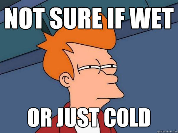 Not sure if wet Or just cold - Not sure if wet Or just cold  Futurama Fry