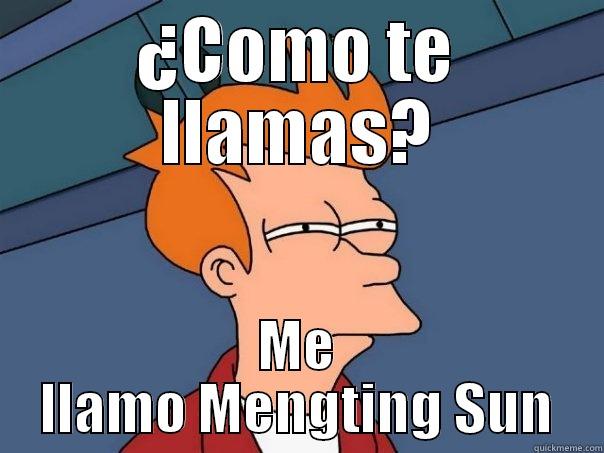 ¿COMO TE LLAMAS? ME LLAMO MENGTING SUN Futurama Fry