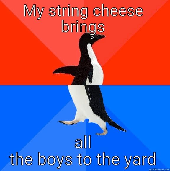 MY STRING CHEESE BRINGS ALL THE BOYS TO THE YARD Socially Awesome Awkward Penguin