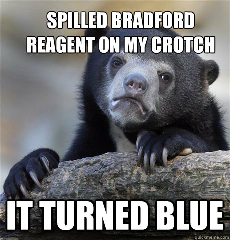 spilled bradford reagent on my crotch it turned blue  Confession Bear