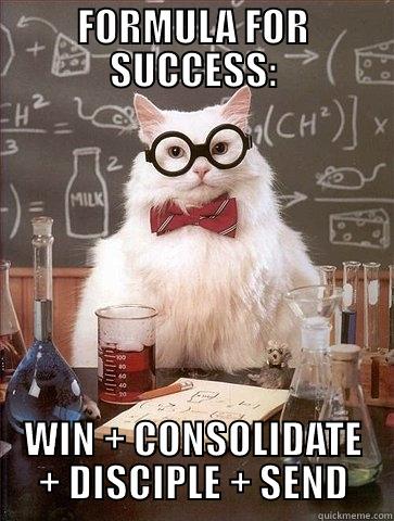 cat success - FORMULA FOR SUCCESS: WIN + CONSOLIDATE + DISCIPLE + SEND Chemistry Cat