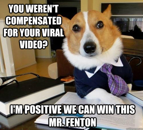 you weren't compensated for your viral video? I'm positive we can win this Mr. Fenton  Lawyer Dog