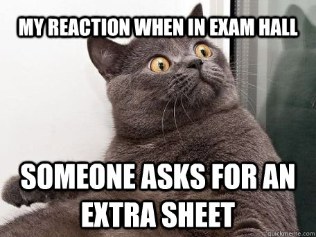 my reaction when in exam hall someone asks for an extra sheet  conspiracy cat