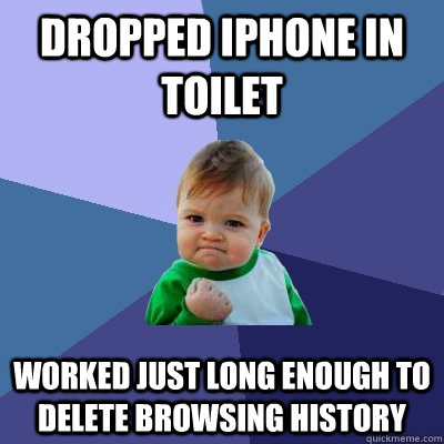 Dropped iPhone in toilet Worked just long enough to delete browsing history - Dropped iPhone in toilet Worked just long enough to delete browsing history  Success Kid