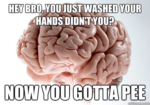 Hey bro, you just washed your hands didn't you? Now you gotta pee  Scumbag Brain