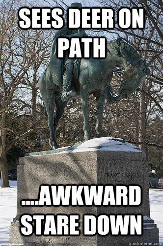 Sees deer on path ....awkward stare down - Sees deer on path ....awkward stare down  Drew University Meme