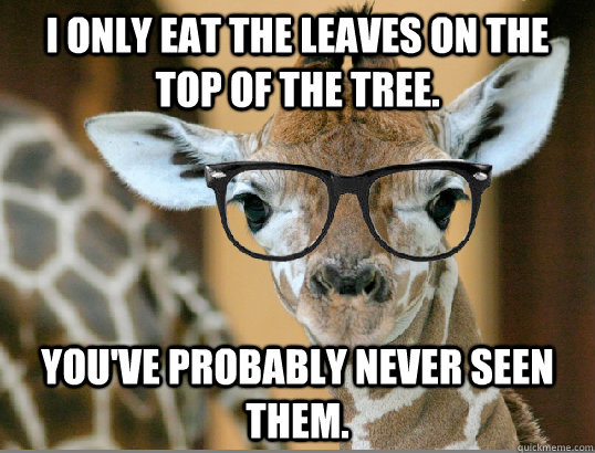 I only eat the leaves on the top of the tree. You've probably never seen them.   Hipster Giraffe