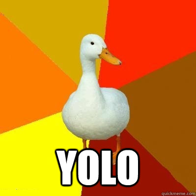  YOLO  Tech Impaired Duck