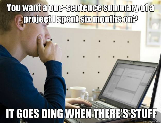 You want a one-sentence summary of a project I spent six months on? IT GOES DING WHEN THERE'S STUFF  Programmer