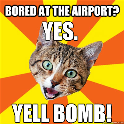 Bored at the airport? yes. Yell bomb!  Bad Advice Cat