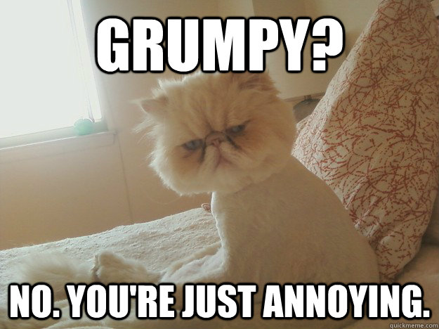 Grumpy? No. You're just annoying.  Annoyed Cat