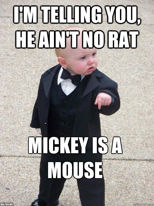 I'm telling you, he ain't no rat mickey is a mouse
 halfdisme  Baby Godfather