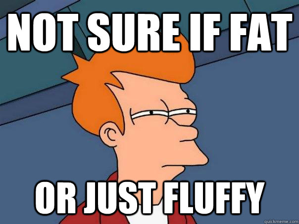 Not sure if fat Or just fluffy - Not sure if fat Or just fluffy  Futurama Fry