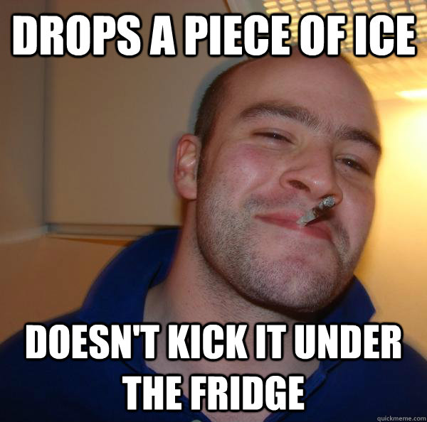 drops a piece of ice  doesn't kick it under the fridge  - drops a piece of ice  doesn't kick it under the fridge   Misc