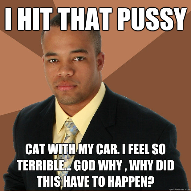 i hit that pussy cat with my car. I feel so terrible... god why , why did this have to happen?  Successful Black Man