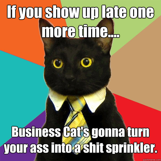 If you show up late one more time.... Business Cat's gonna turn your ass into a shit sprinkler.  Business Cat