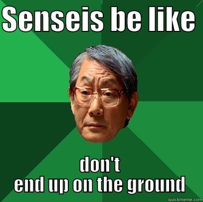 senseis be like - SENSEIS BE LIKE  DON'T END UP ON THE GROUND High Expectations Asian Father