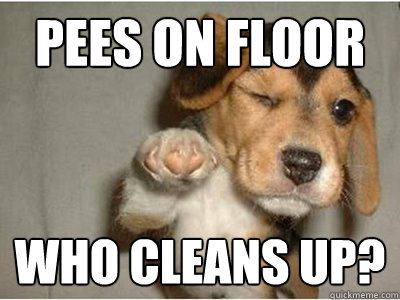 PEES ON FLOOR WHO CLEANS UP?  Puppy Love