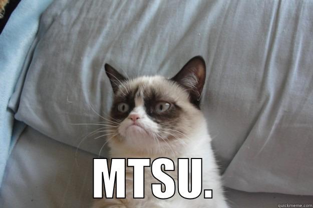 I WANT TO APPLY TO BELMONT. WHERE DO I SEND MY STUFF? MTSU. Grumpy Cat