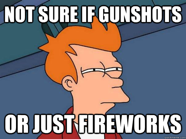 Not sure if gunshots Or just fireworks - Not sure if gunshots Or just fireworks  Futurama Fry